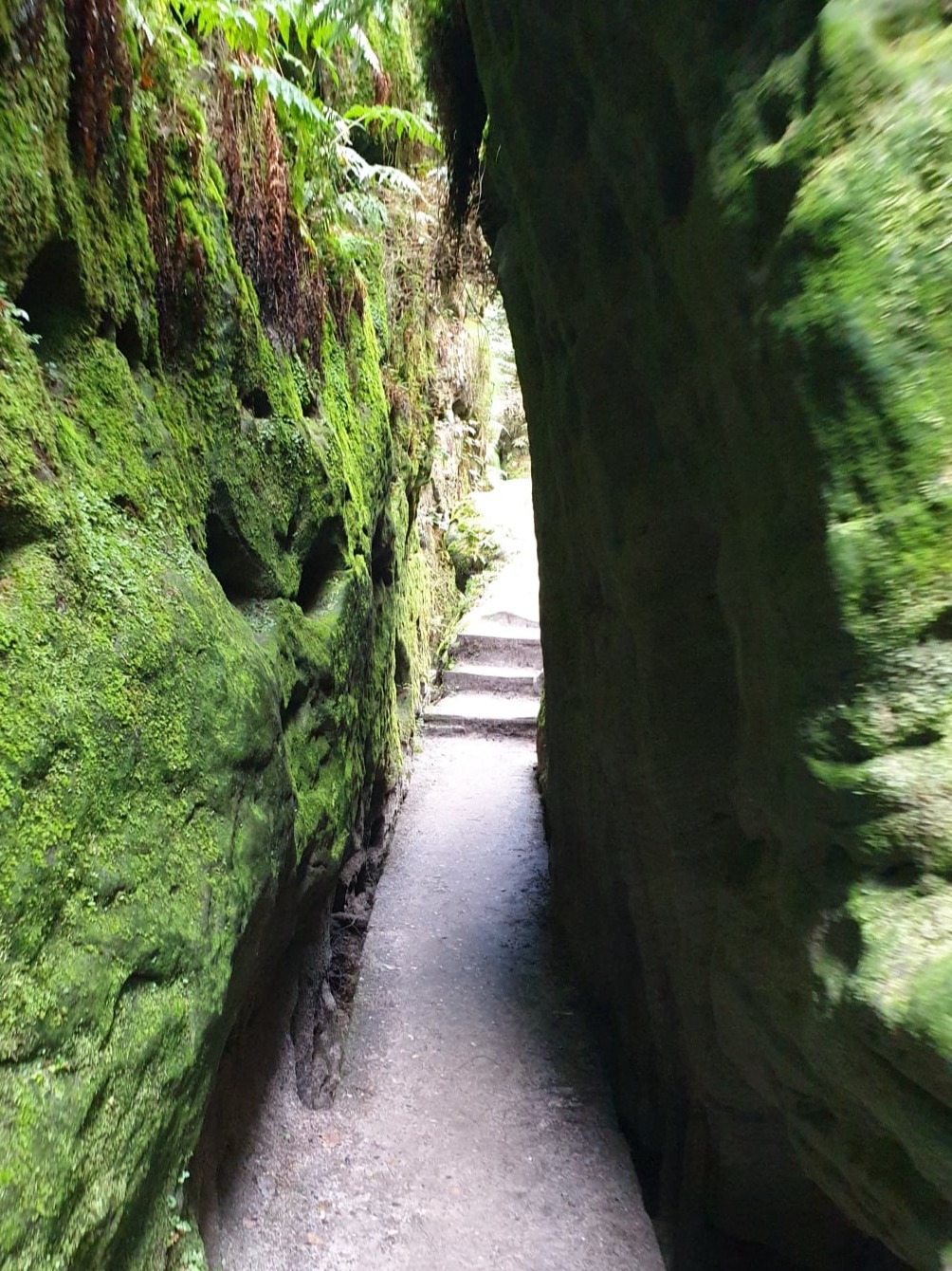 Sächsische Schweiz Wanderweg