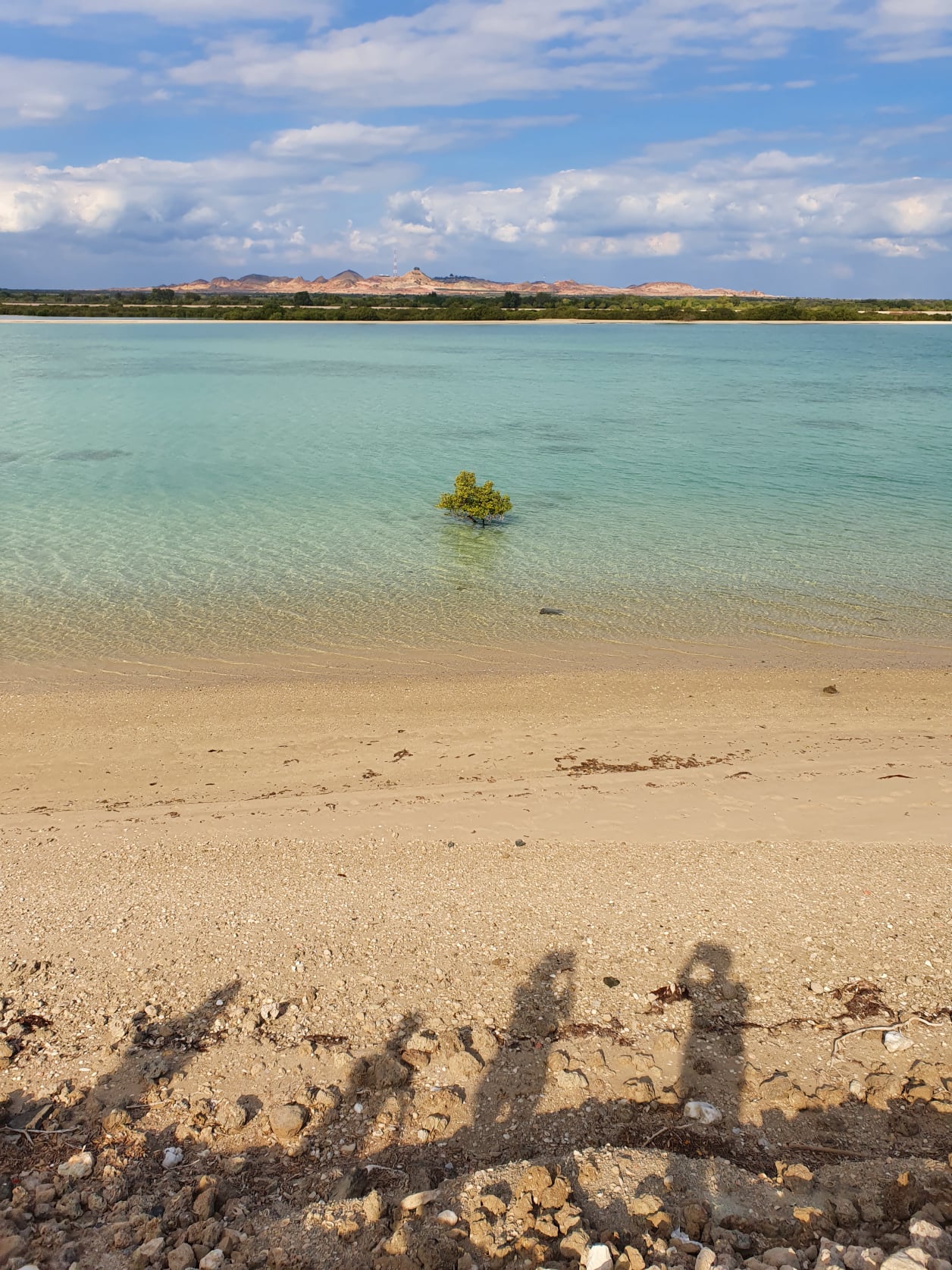 Sir Bani Yas Küste