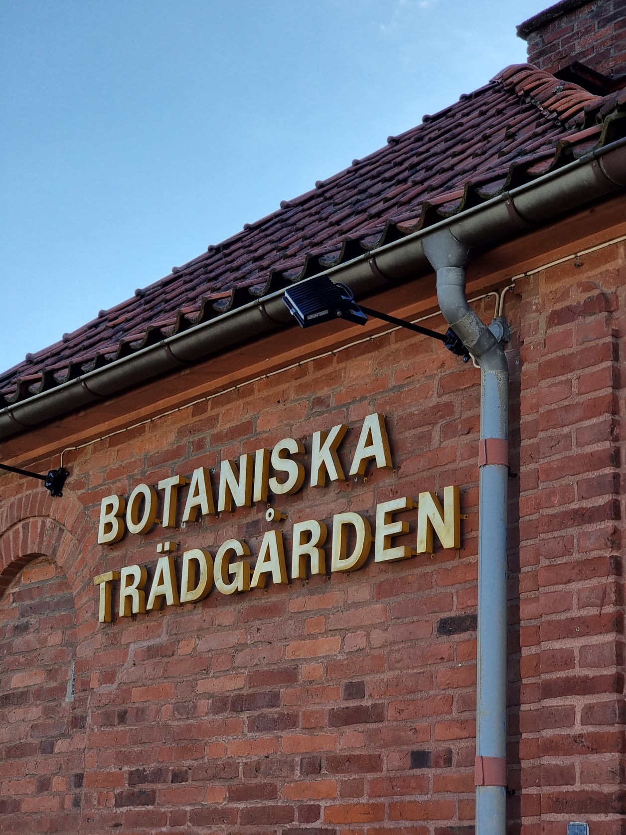 Botanischer Garten