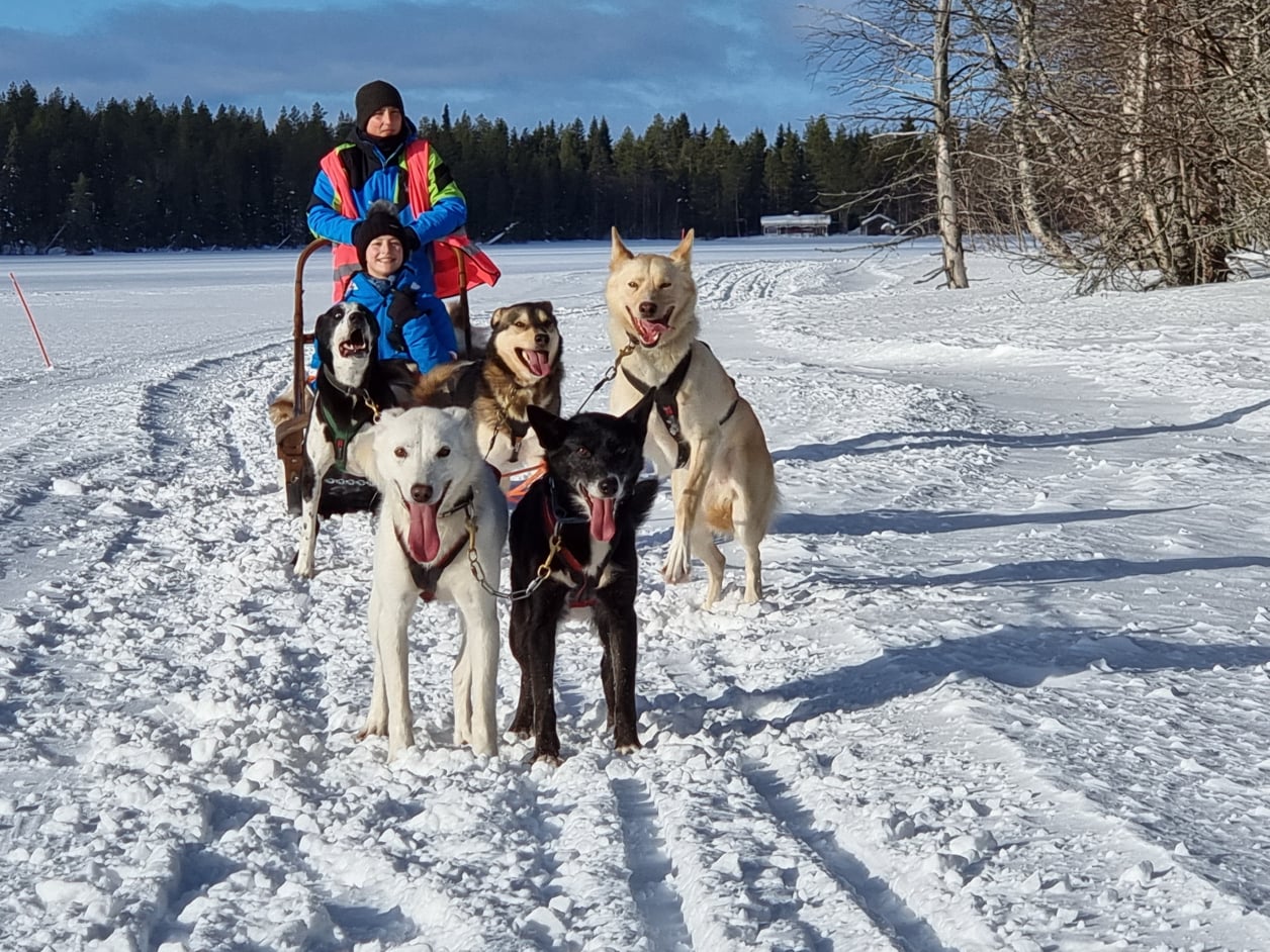 Huskytour Finnland