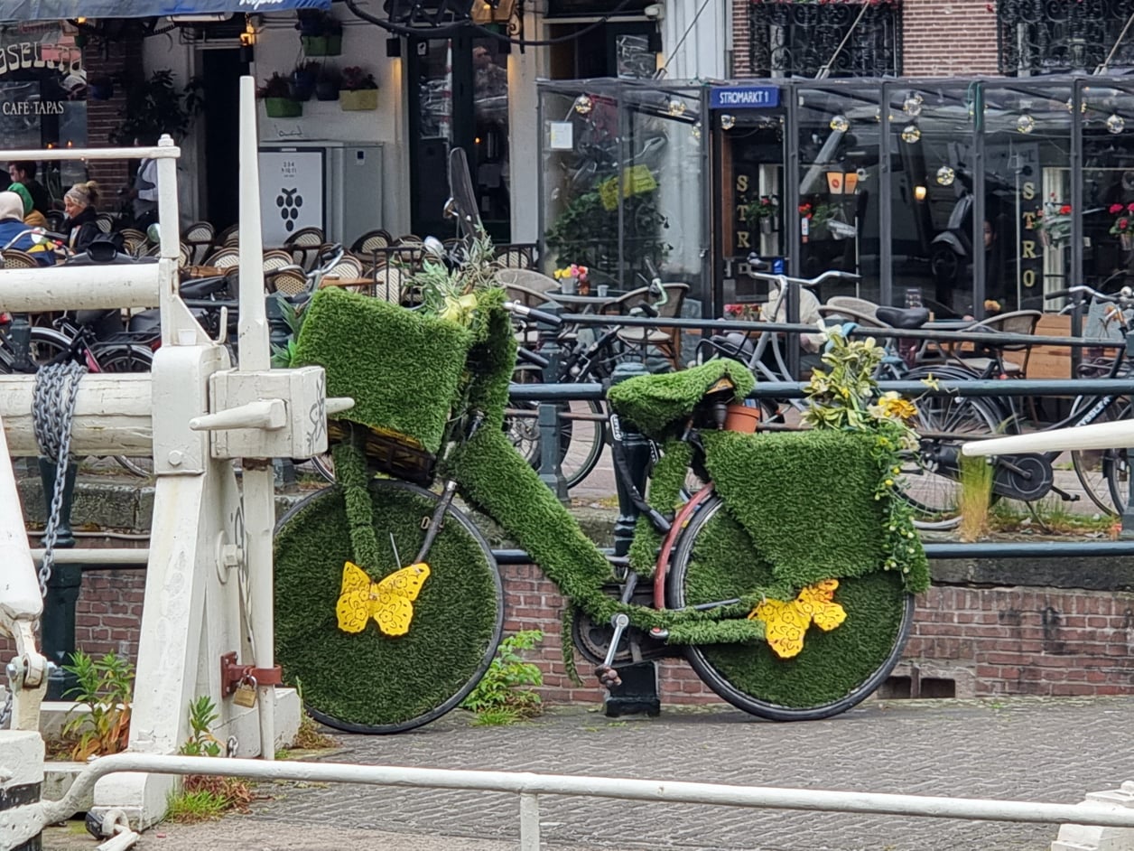 Amsterdam Blumenrad