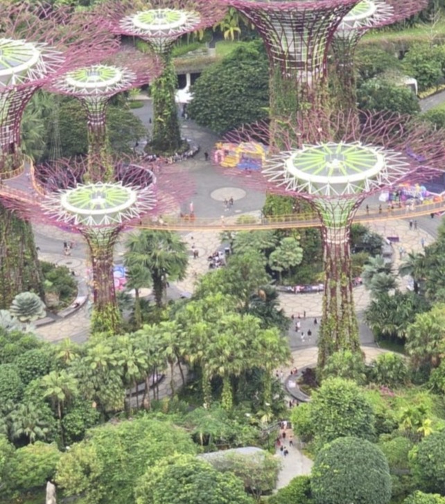 Singapur von oben