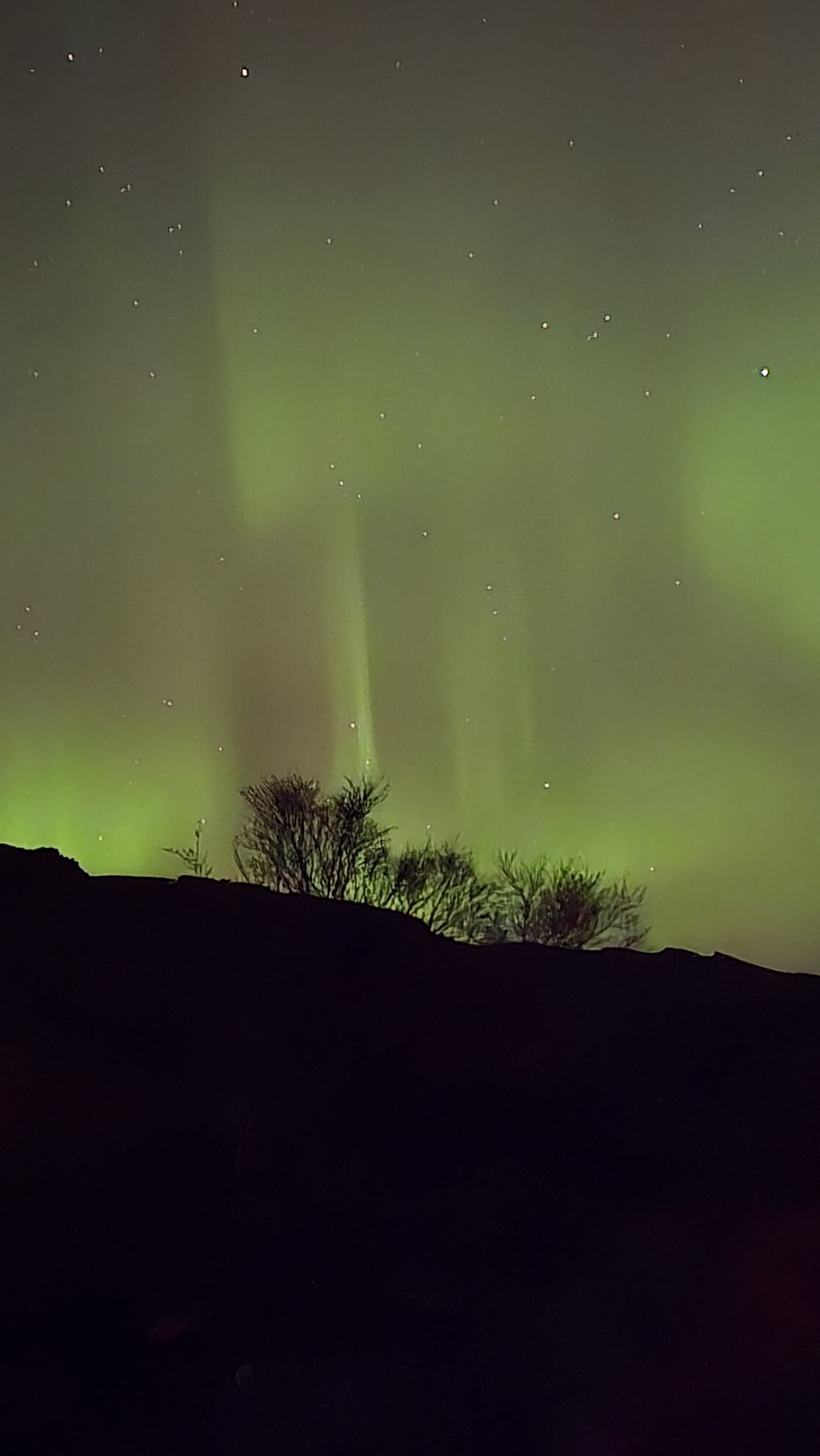 Nordlicht in Island